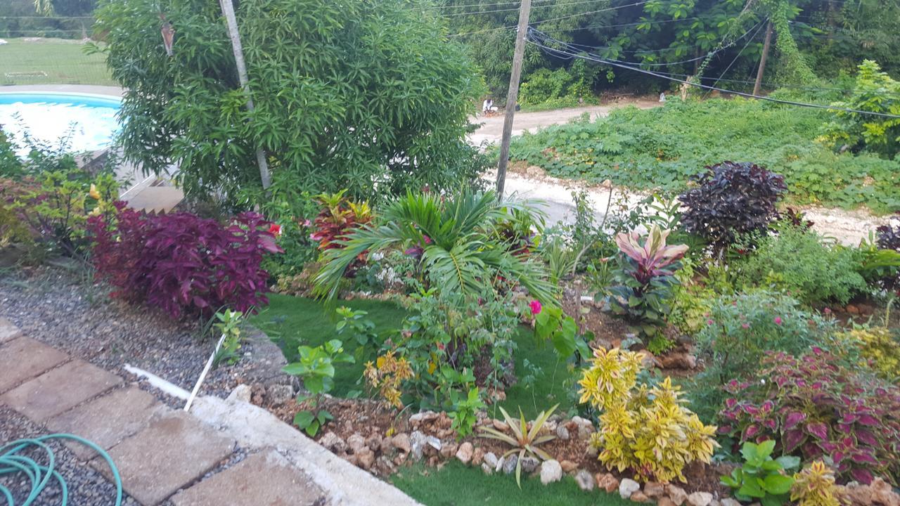 Csompo Bed And Breakfast Ocho Rios Buitenkant foto